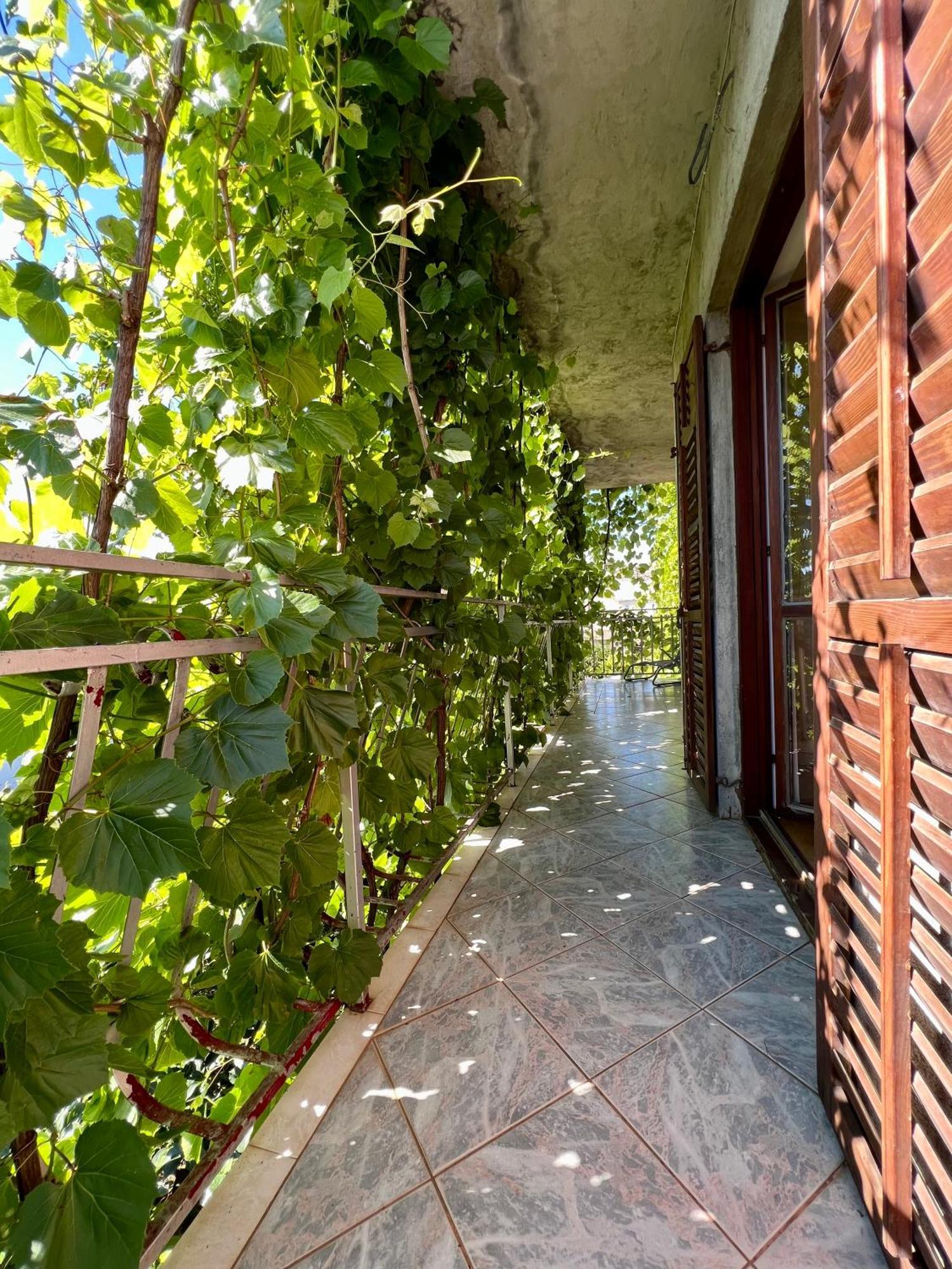 Vodice Center Apartments Rum bild